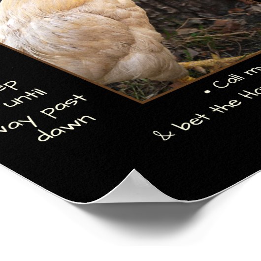 Poster-Chicken-Eimer Poster (Ecke)