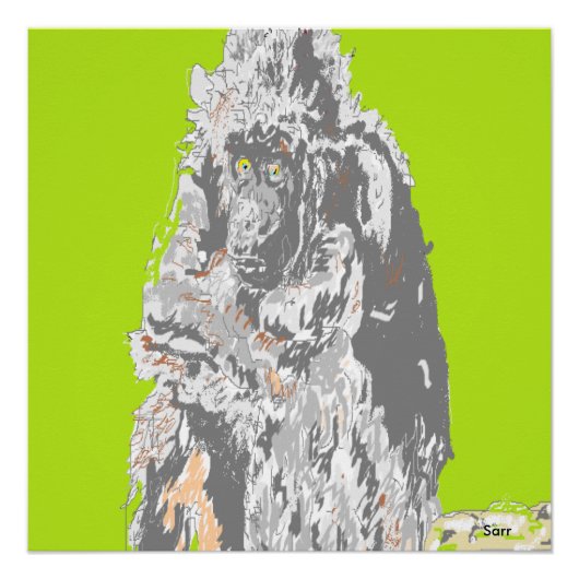 Poster Chimpanze (Vorderseite)