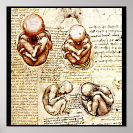 Poster-Classic/Vintag-Leonardo da Vinci 9 Poster