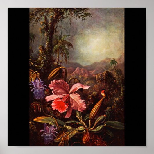 Poster-Classic/Vintag-Martin Johnson Heade 14 Poster (Vorne)