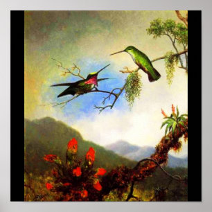 Poster-Classic/Vintag-Martin Johnson Heade 1 Poster