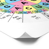 Poster Codons Amino Acids Tabelle Genetischer Code (Ecke)