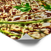 Poster Colorado (Ecke)