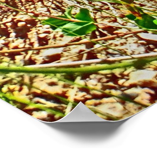 Poster Colorado (Ecke)