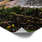 Poster: Cove Corona del Mar Poster (Ecke)