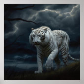 Poster Croc Blanc (Vorne)