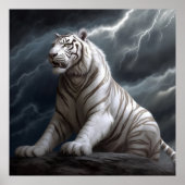 Poster Croc Blanc (Vorne)