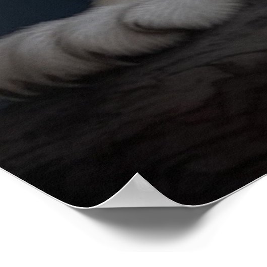 Poster Croc Blanc (Ecke)