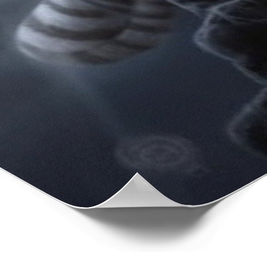 Poster Croc Blanc (Ecke)