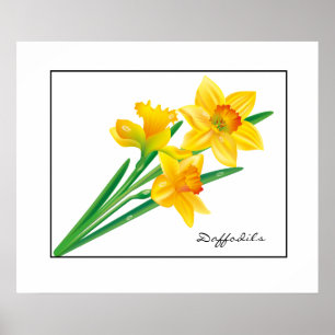 Poster-Daffodils Poster