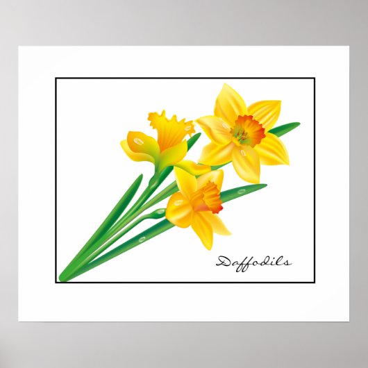 Poster-Daffodils Poster (Vorne)