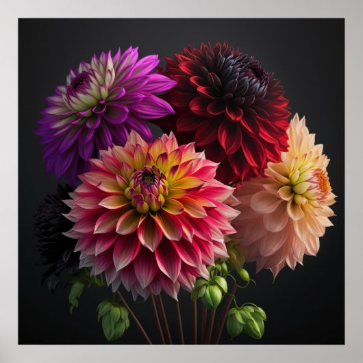 Poster Dahlia Blume (Vorne)