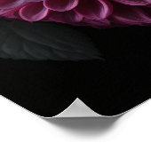 Poster Dahlia Blume (Ecke)