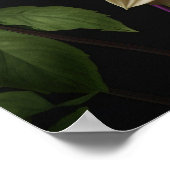 Poster Dahlia Blume (Ecke)