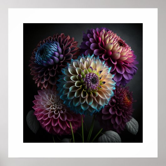 Poster Dahlia Blume (Vorne)