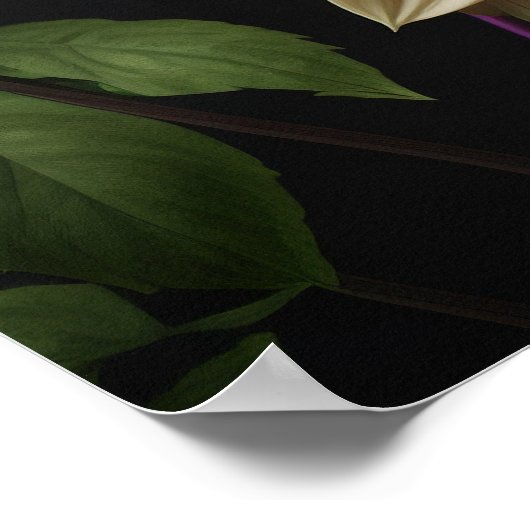 Poster Dahlia Blume (Ecke)