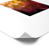 Poster-Dahlias Poster (Ecke)