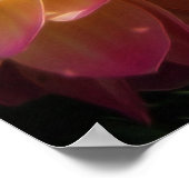 Poster-Dahlias Poster (Ecke)