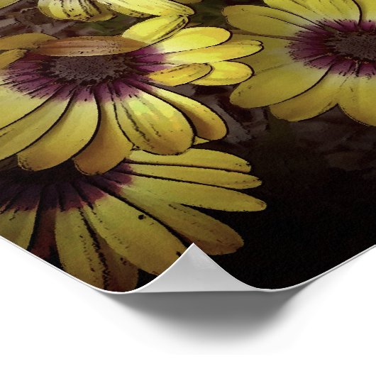 Poster - Daisies (Ecke)