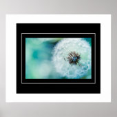 Poster-Dandelion Poster (Vorne)