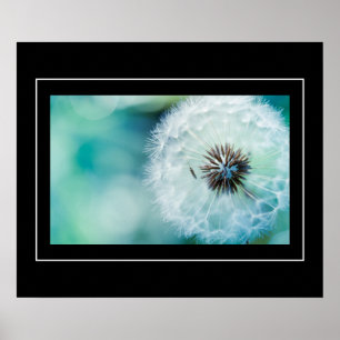 Poster-Dandelion Poster