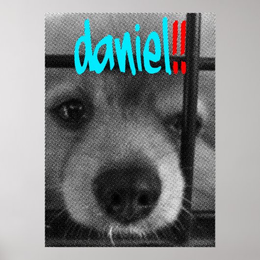 poster_daniel! poster (Vorne)