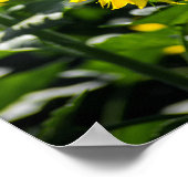 Poster Das Sonnenblumenfeld (Ecke)