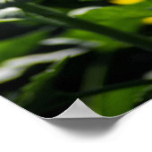 Poster Das Sonnenblumenfeld (Ecke)