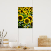 Poster Das Sonnenblumenfeld (Küche)