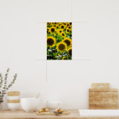 Poster Das Sonnenblumenfeld (Küche)