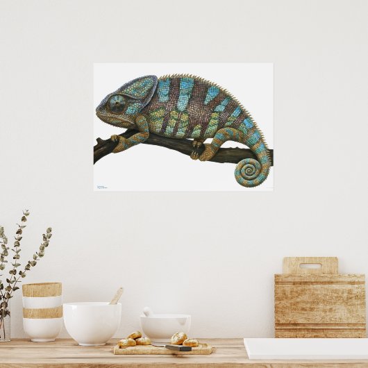 Póster de Camaleón Poster (Küche)