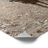 Poster "Dee on Trail" (Ecke)