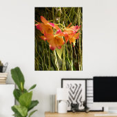 Poster, Dendrobium Orchideen Orange und Rosa Poster (Heimbüro)