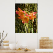 Poster, Dendrobium Orchideen Orange und Rosa Poster (Küche)