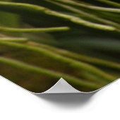 Poster, Dendrobium Orchideen Orange und Rosa Poster (Ecke)