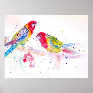 Poster der australischen Rosella Parrot Watercolor
