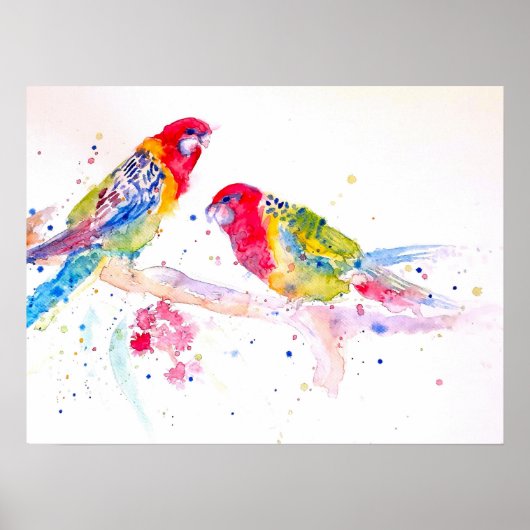 Poster der australischen Rosella Parrot Watercolor (Vorne)
