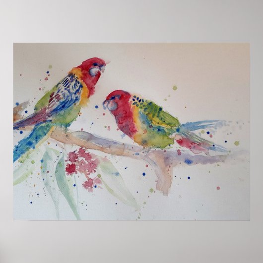 Poster der australischen Rosella Parrot Watercolor (Vorne)