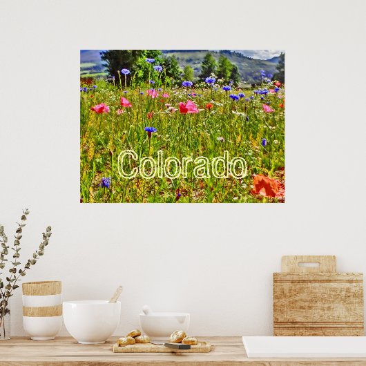 Poster der Colorado Wildblume (Küche)