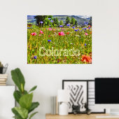 Poster der Colorado Wildblume (Heimbüro)