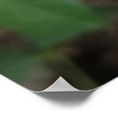 Poster der Gelben Blume (Ecke)