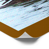 Poster der Haubenente (Ecke)