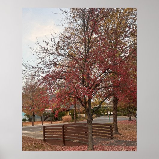 Poster der Herbstwanderbrücke (Vorne)
