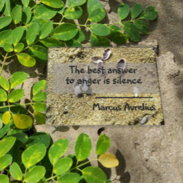 Poster der lateinischen Zitatstille