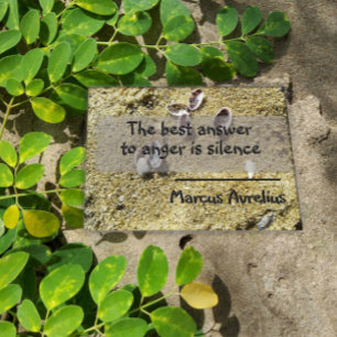 Poster der lateinischen Zitatstille