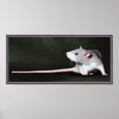 Poster der Niedlichen Ratten-Malerei (Vorne)