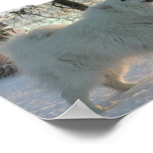 Poster der Pyrenäen (Ecke)