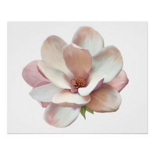 Poster der rosa südlichen Magnolie