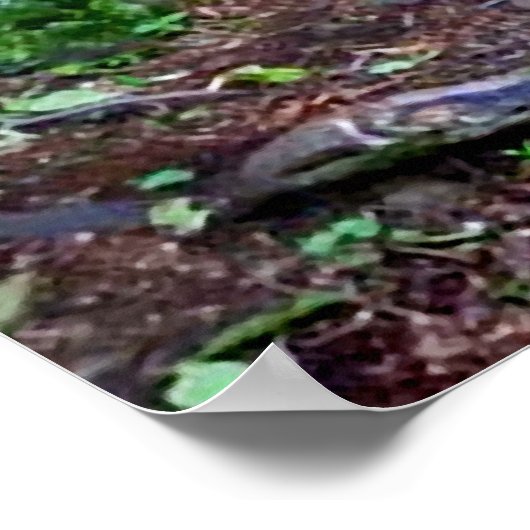 Poster "Der schwarze Wolf" (Ecke)