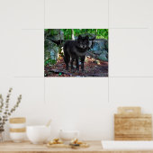 Poster "Der schwarze Wolf" (Küche)